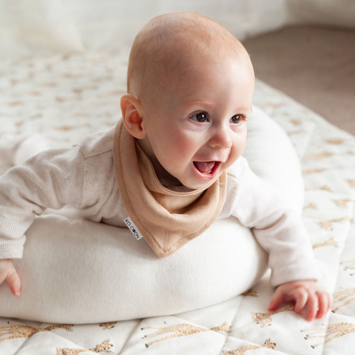 2 Pack Drooling Bib