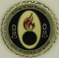 31st Fighter Wing Aviano, AB Italy Ammo Air Force Challenge Coin