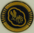 43rd Fighter Squadron F-22 Raptor Tyndall AFB, FL Air Force Challenge Coin