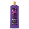 CARESS BLACK ORCHID BODY WASH 18 OZ