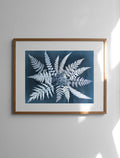 FERN STAR POSTER