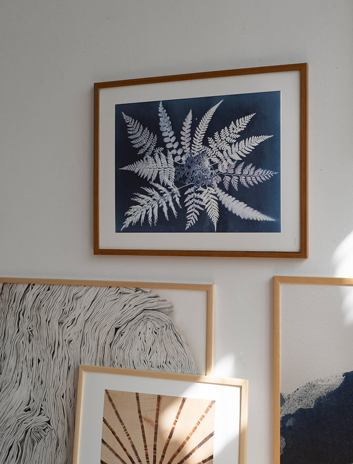 FERN STAR POSTER