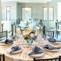 HYDRANGEA ELEGANCE