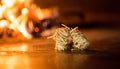 l' Accendifuoco (FireLighter)