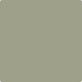 Shop the paint color HC-113 Louisburg Green by Benjamin Moore at Anderson Paint Company in Ann Arbor, Michigan.