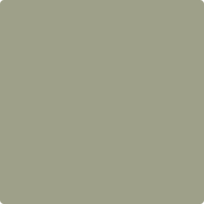 Shop the paint color HC-113 Louisburg Green by Benjamin Moore at Anderson Paint Company in Ann Arbor, Michigan.