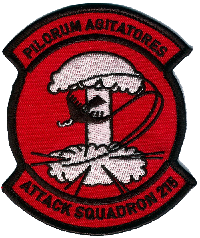 Officially Licensed US Navy VA-215 Barn Owls Patch