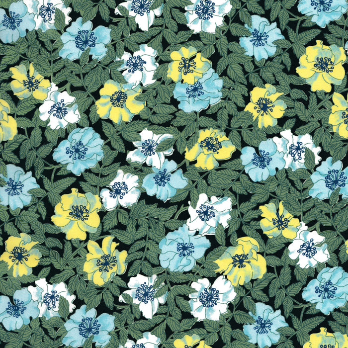 Organic Wild Rosinda (A)