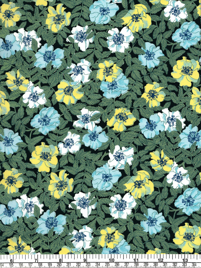 Organic Wild Rosinda (A)