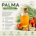 Palm Oil Organic- Aceite de Palma Sustentable Organico
