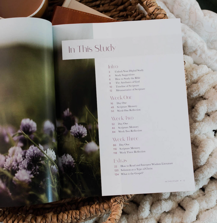 Path To Purpose Ecclesiastes Study