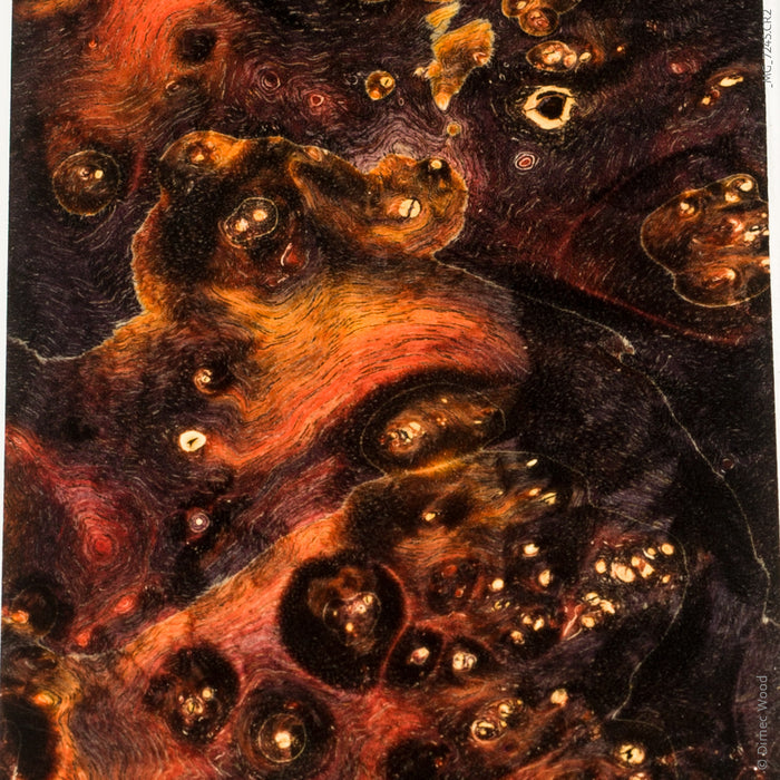Stabilized box elder burl wood block