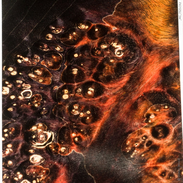 Stabilized box elder burl wood block
