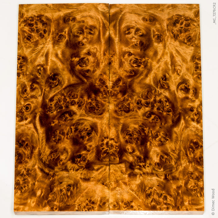 Stabilized golden amboyna burl wood scales