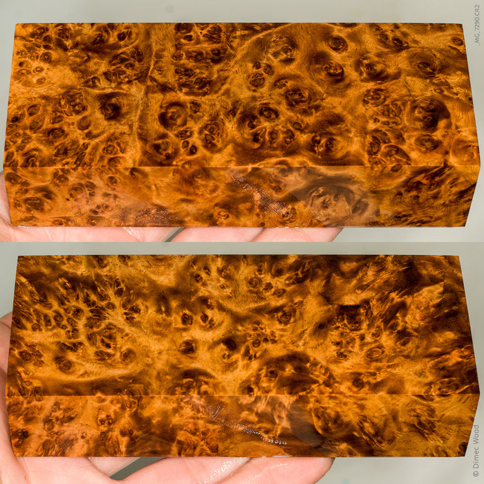 Stabilized wood golden amboyna burl block