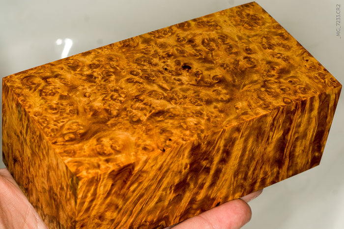 Stabilized wood golden amboyna burl block