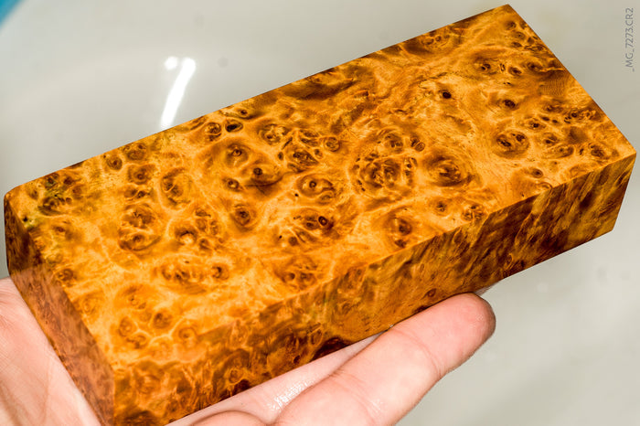 Stabilized wood golden amboyna burl block