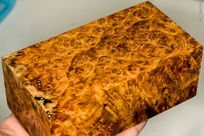 Stabilized wood golden amboyna burl block