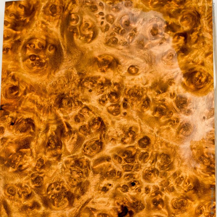 Stabilized wood golden amboyna burl block
