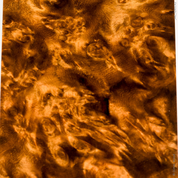 Stabilized wood golden amboyna burl block