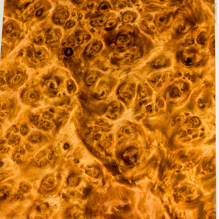 Stabilized wood golden amboyna burl block