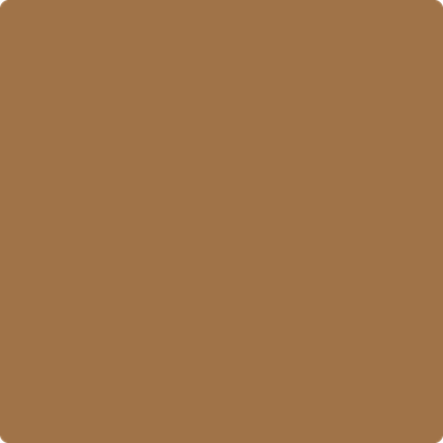 Shop the paint color 2161-20 Tawny by Benjamin Moore at Anderson Paint Company in Ann Arbor, Michigan.