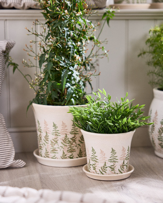 Varen Set of 2 Fern Planters with Trays