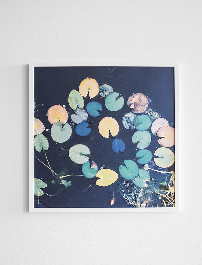 WATER LILIES POSTER