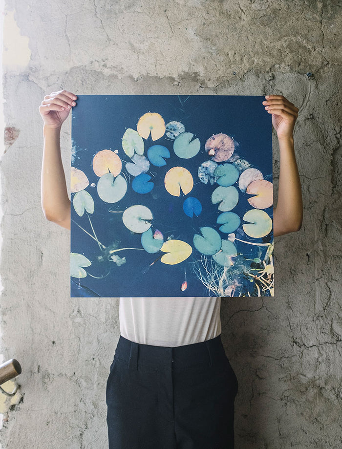 WATER LILIES POSTER