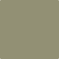 Shop the paint color HC-110 Weatherfield Moss by Benjamin Moore at Anderson Paint Company in Ann Arbor, Michigan.